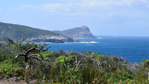 Photo: Blowholes